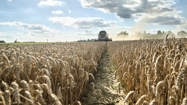 A combine harvester cuts a field of wheat on a farm in the Lisowice district of Torun, Poland, on Friday, Aug. 11, 2023. Some of Ukraine’s European neighbors, including Poland, are extending a ban on purchasing some of the country’s grain until mid-September, a move that risks fueling tensions between Kyiv and its allies. Photographer: Bartek Sadowski/Bloomberg