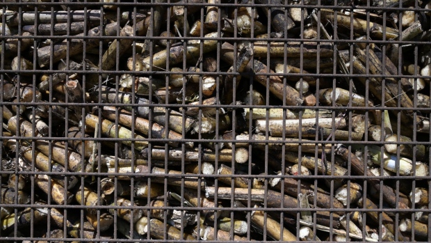 Harvested sugar cane in cages on a rail track waiting to be sent to a mill in Home Hill, Burdekin Shire, in Australia, on Wednesday, July 19, 2023. The Australian Bureau of Statistics will release trade figures on July 27.