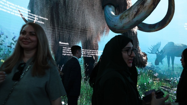 Attendees view a projection at the Pleistocene Park