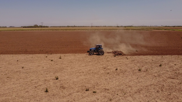 A farmer prepares a field in Argentina for planting soybeans. Startup Lithos Carbon uses spreads crushed rocks on farmland that can help speed the uptake of CO2 and restore soil.