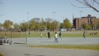 Visitors play cricket