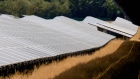 Solar panels at the Weesow-Willmersdorf solar park, operated by EnBW Energie Baden-Wrttemberg AG, in Werneuchen, Germany, on Tuesday, Aug. 2, 2022. The European Union seeking to double solar capacity to 320GW by 2025 and to hit 600GW by the end of the decadewhich would make solar Europe's biggest source of electricity, whereas today it's not even in the top five.