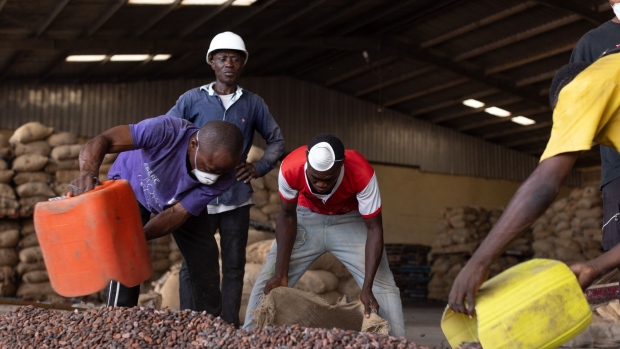 Cocoa beans are collected at a rebagging facility. Photographer: Paul Ninson/Bloomberg