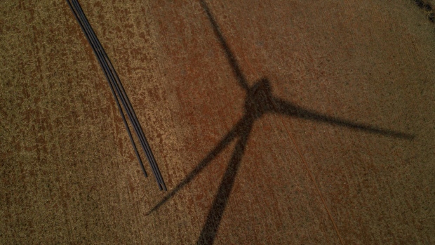 <p>A turbine casts a shadow over fields at a wind farm.</p>