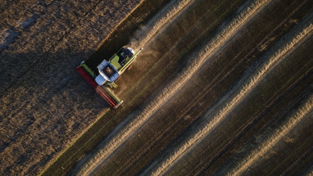 <p>Farmers harvest a wheat field near Bila Tserkva, Ukraine. </p>