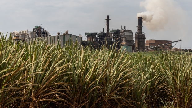 <p>A sugar and ethanol bioenergy plant in Itapetininga, Sao Paulo state, Brazil.</p>