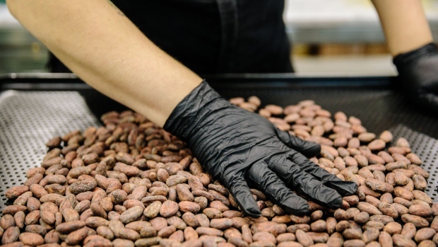 <p>A global shortage of cocoa has caused futures to soar above $10,000 per ton and hit a record earlier this month. </p>