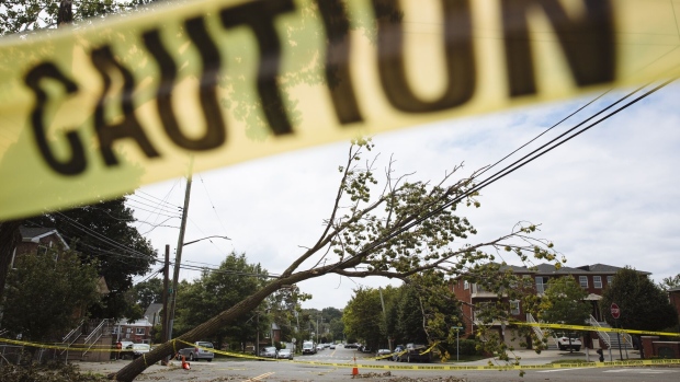 <p>A fallen tree rests on a power line in the College Point, Queens, New York after Tropical Storm Isaias battered the region in 2020.</p>