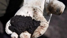 An oil worker holds raw sand bitumen near Fort McMurray. condensate.