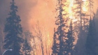 Alberta Wildfire