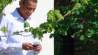 U.S. President Barack Obama with his BlackBerry