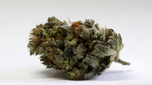 A marijuana bud is seen at a medical marijuana facility in Unity, Maine