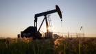 An oil pump jack pumps oil in a field near Calgary, Alberta