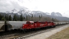 A CP Rail train stopped on the tracks near Canmore, Alberta, April 28, 2017. 