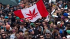 Marijuana Canadian Canada flag cannabis 