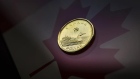 A loonie pictured in an illustration