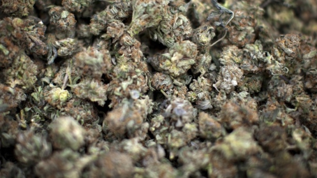 Marijuana buds pot cannabis weed