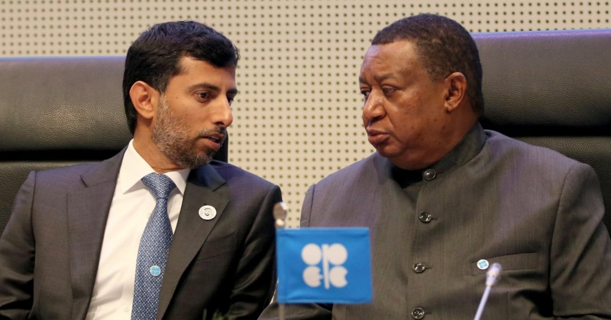 UAE owes it to investors to produce without restrictions