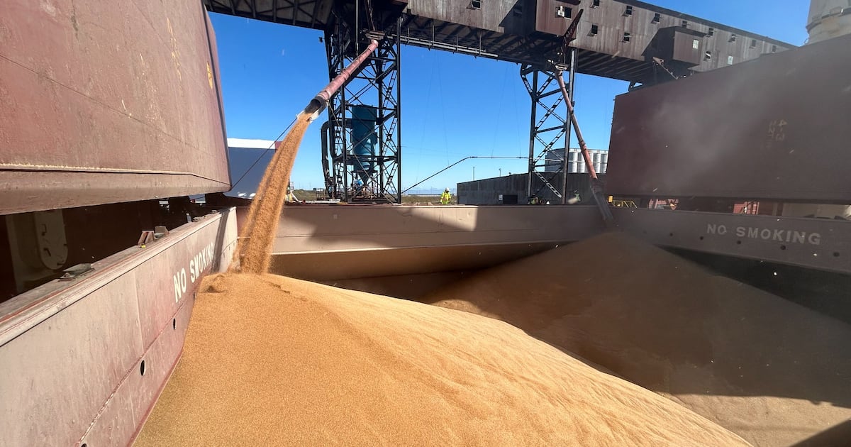 ‘Open for business': Grain shipments resume in Churchill for the first time in six years