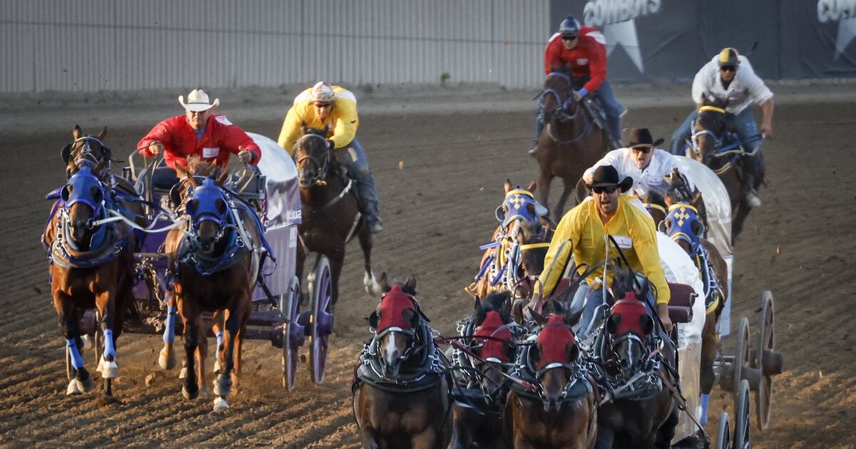 Cash for canvas: Annual Calgary Stampede tarp auction sets record of $6 ...