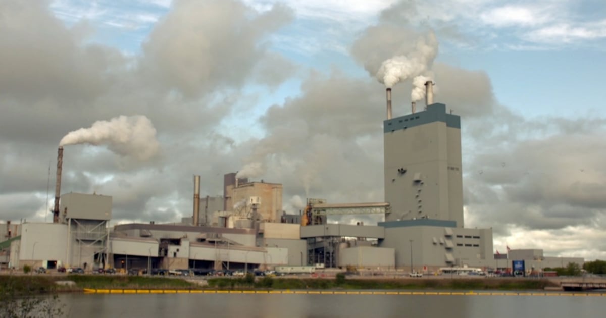 Thunder Bay Pulp and Paper to end newsprint operations, up to 150 people ...