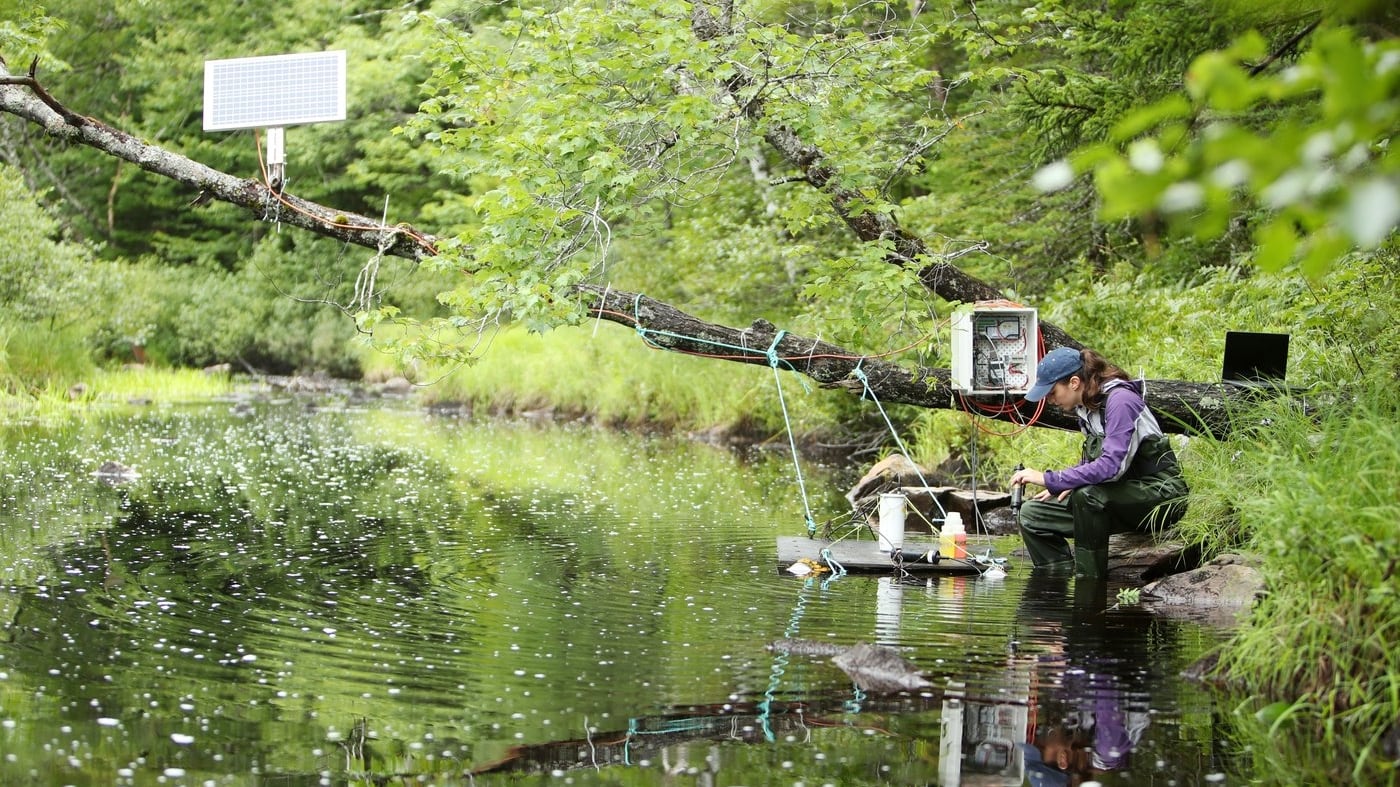 A CarbonRun scientist collects data and samples in the field in an undated handout photo. THE CANADIAN PRESS/Handout — CarbonRun, Nick Pearce