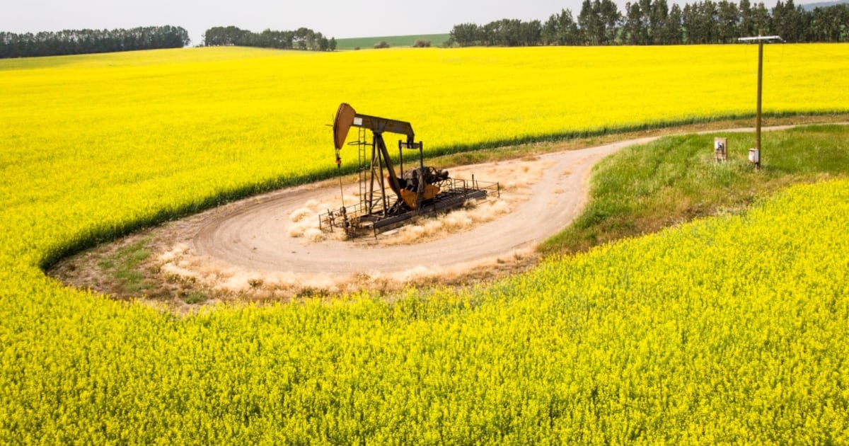 Why falling oil prices may favour Canada’s biggest energy producers Why falling oil prices may favour Canada’s biggest energy producers