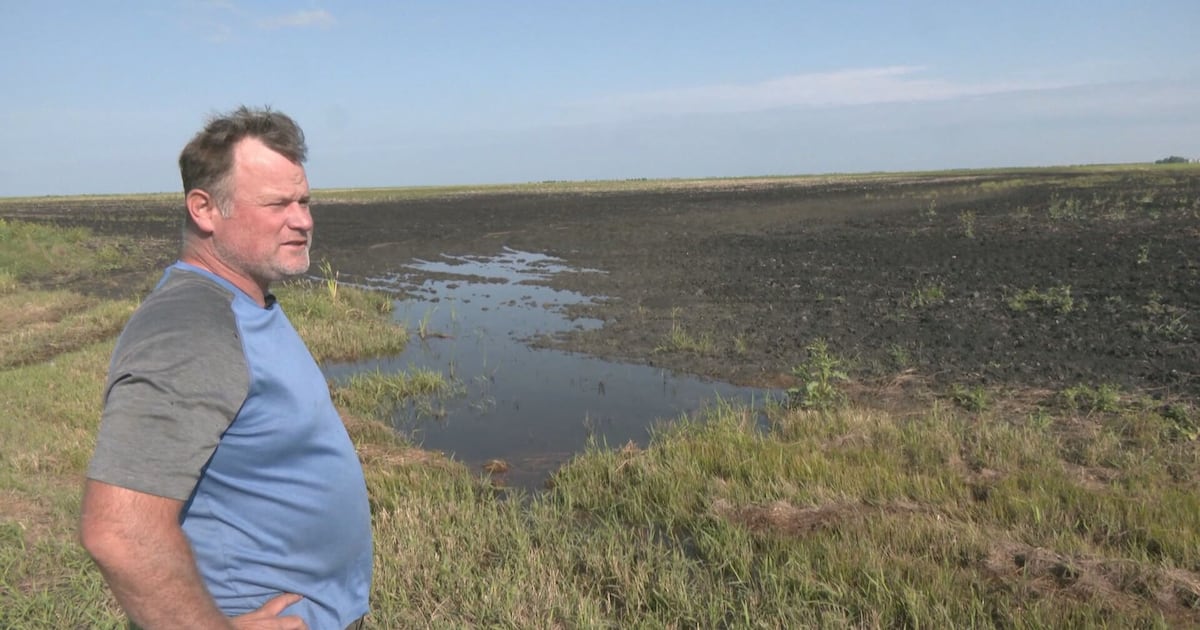 ‘Never seen anything like this’: Manitoba farmers struggle with ...