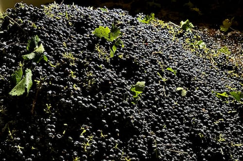 California farmers are struggling to sell grapes as demand for wine drops