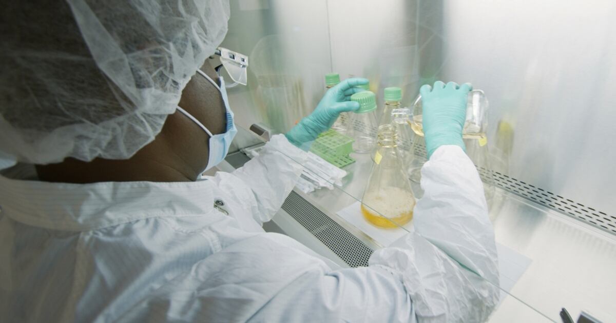 Hot Picks: Pharma stocks gain on obesity drug demand