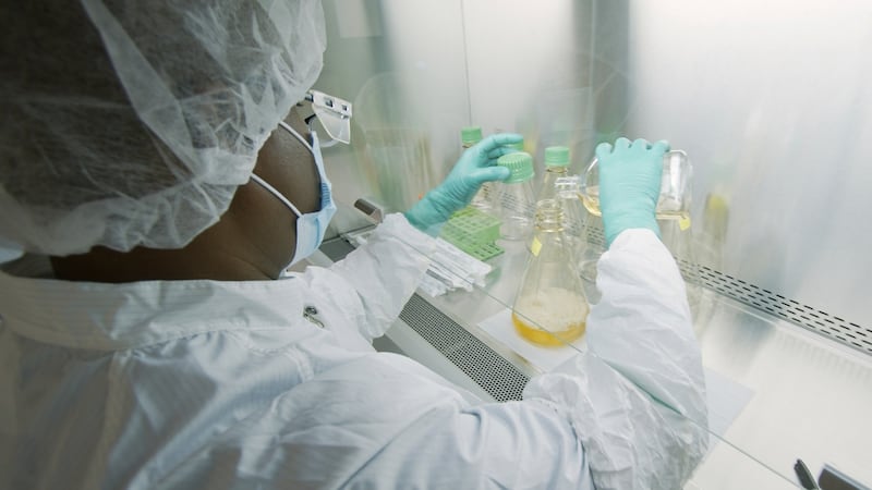 Hot Picks: Pharma stocks gain on obesity drug demand