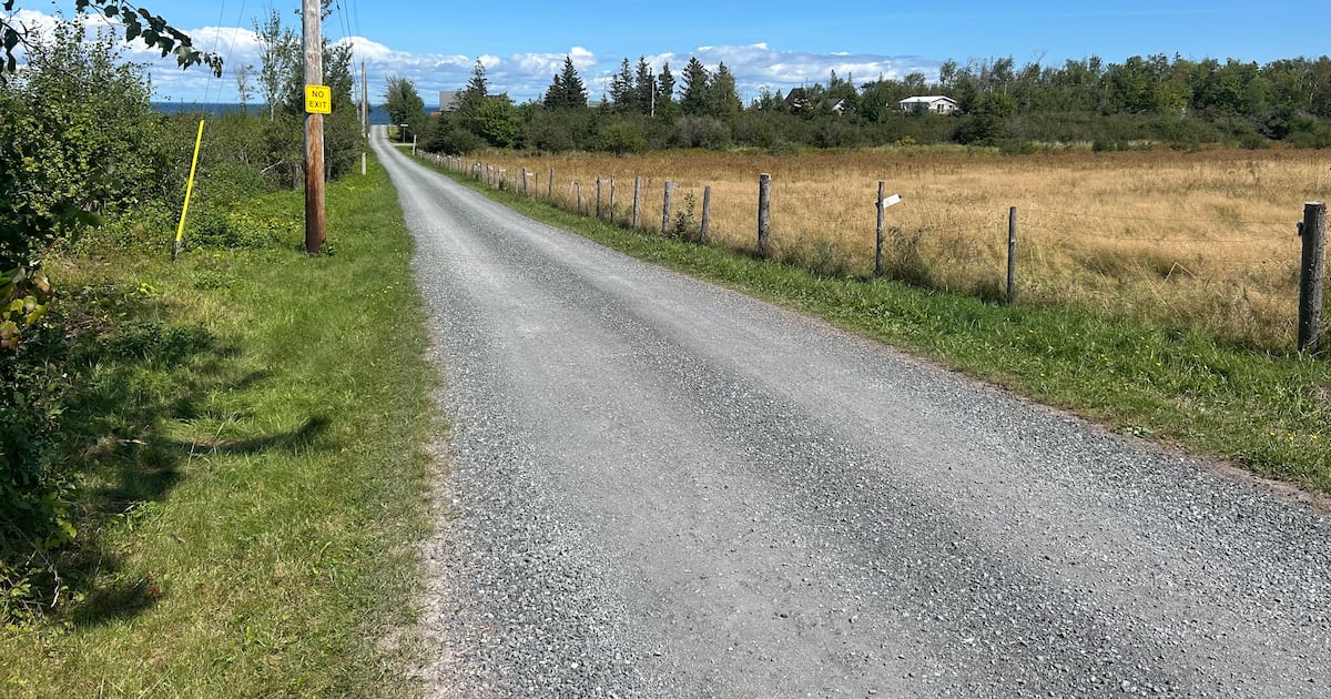 State of Canadian cottage real estate analyzed as buyers navigate shifting market