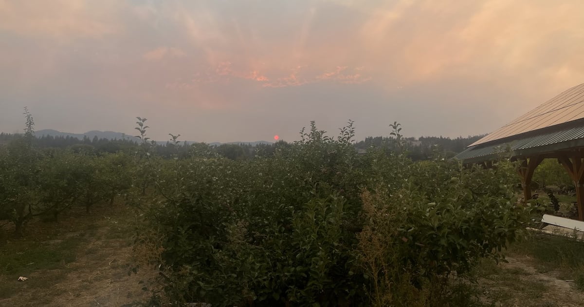 'We will lose a lot of our annual crops': B.C. farmers face losses due to wildfires