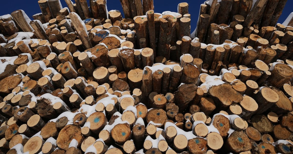 Saskatchewan sawmill curtailing operations, 117 employees affected