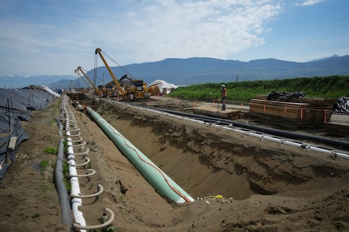 Former minister says energy project review changes could cause further delays
