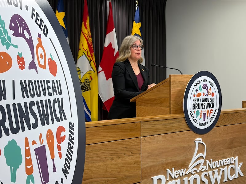 New Brunswick Premier Susan Holt is pictured on Sept. 10, 2026. (CTV Atlantic / Anna Mandin)