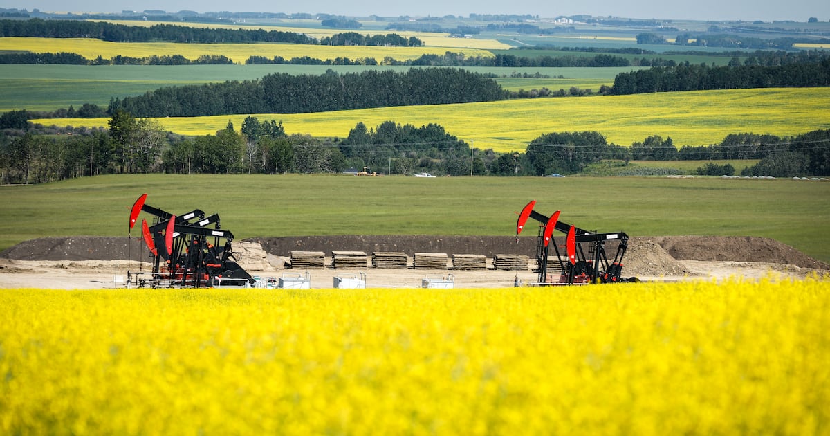 China sets temporary anti-dumping duty on Canadian canola