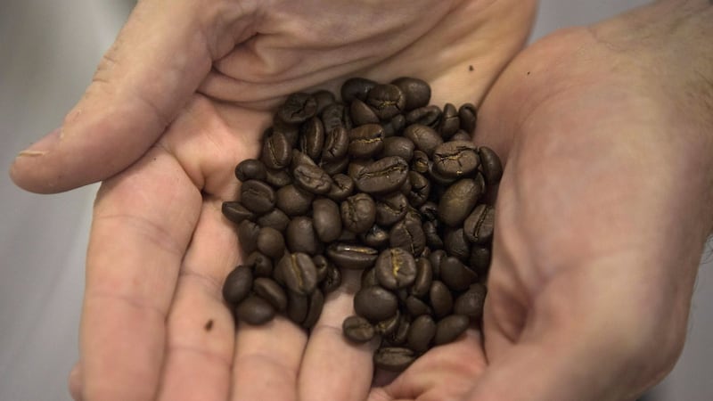 El Niño threat to Vietnam coffee crop should not be underestimated, official says
