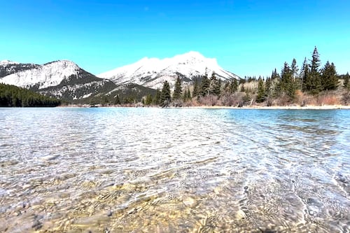 Legacy coal mines tied to toxic selenium levels in Alberta lake, as legal pressure mounts for cleanup