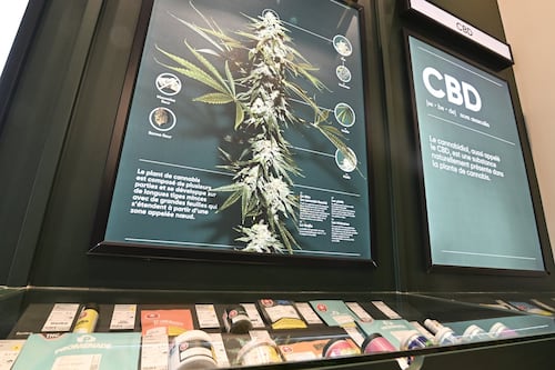 Canada’s illegal cannabis market leads to national organization suspending operations