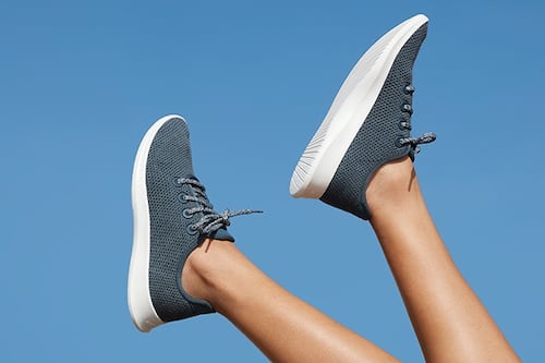 It’s not just Allbirds - another meme-stock season is on the horizon, Vanda Research says