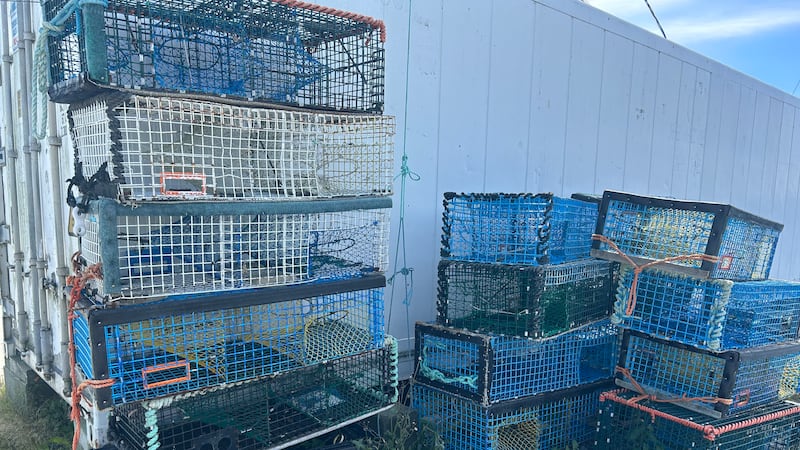 Why fishersΒ asked Ottawa to spare seafood from U.S. tariff war
