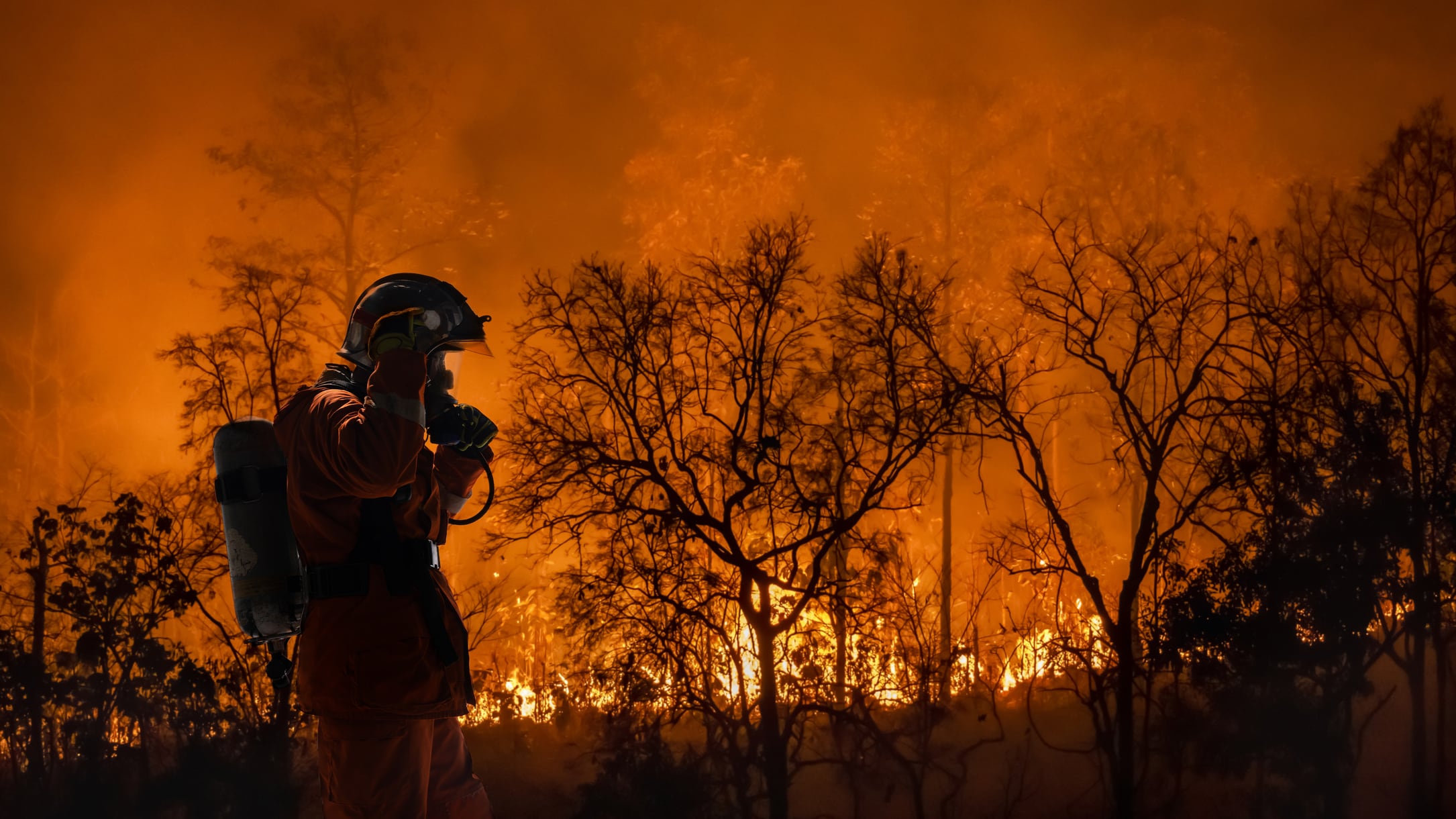 A firefighter prepares to fight a forest fire.