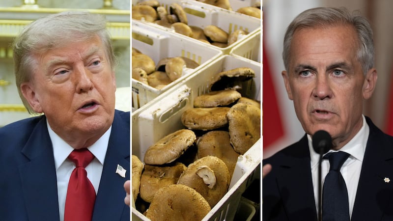 U.S. moves to slap more tariffs on fresh Canadian mushrooms
