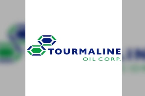 Bruce Murray's Past Picks: Amazon.com, Hammond Power & Tourmaline Oil