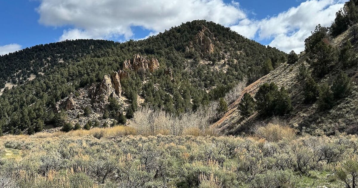 Meryllion Resources confirms rare earth system and scandium discovery in ...