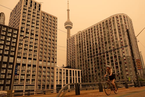 How tiny particles from wildfire smoke causes inflammation in the lungs