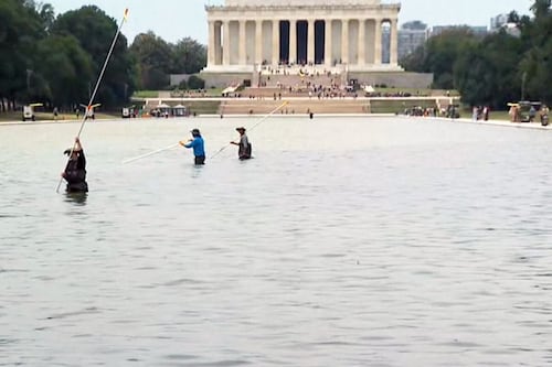$14M reflecting pool repaint already peeling as algae returns