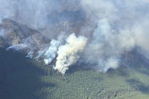 Calls for improved emergency response as wildfires rage across Canada