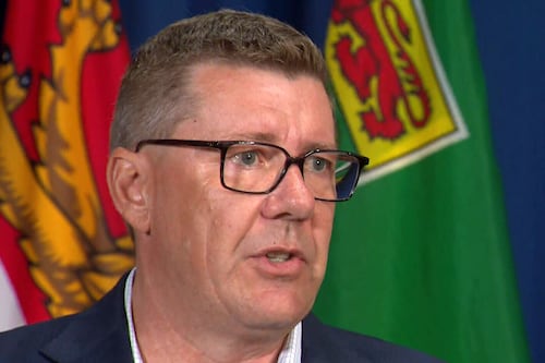 Why would you want a fight with your largest trading partner?': Moe on impact of U.S. tariffs